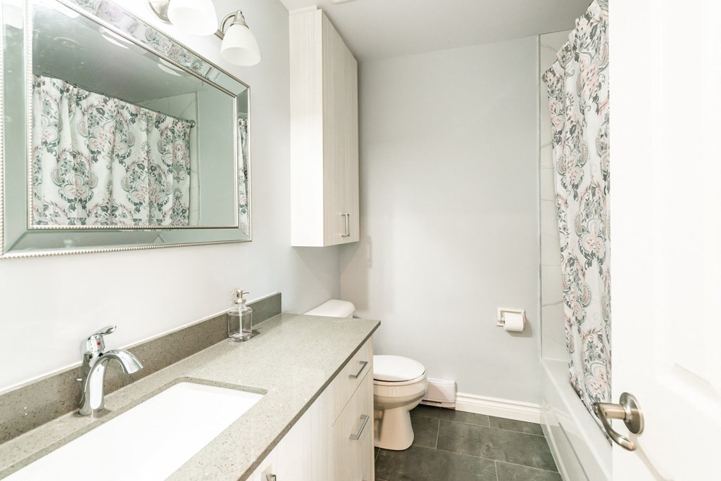 a bathroom with a sink and a toilet and a mirror