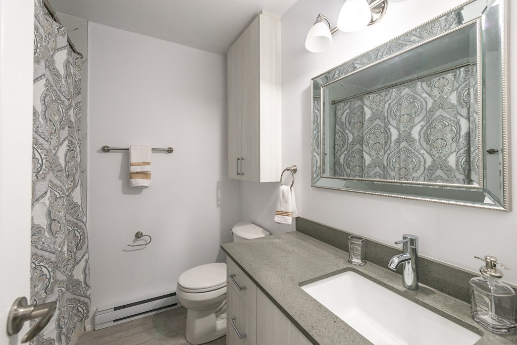 a bathroom with a sink and a toilet and a mirror