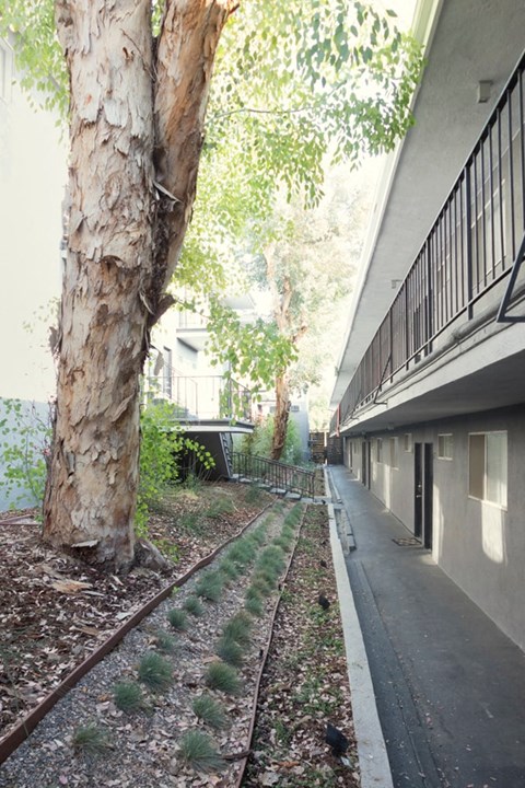 a corridor between two buildings next to a tree