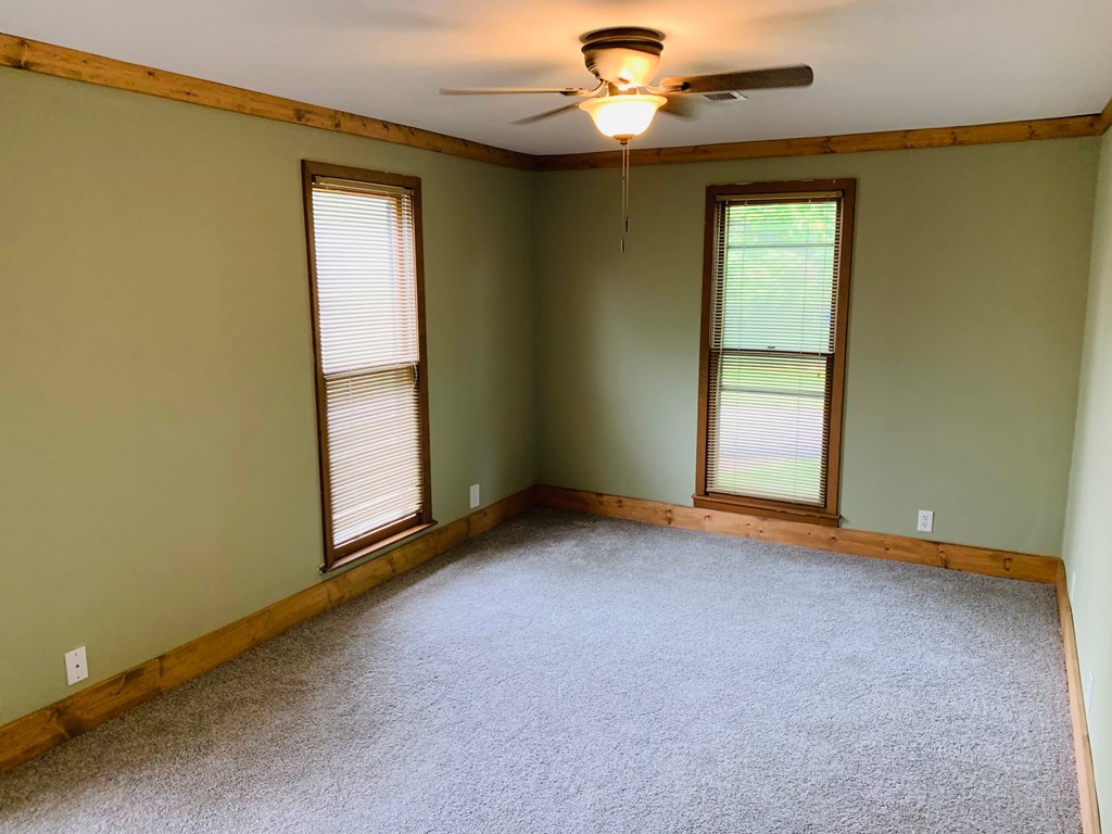 an empty room with green walls and a ceiling fan