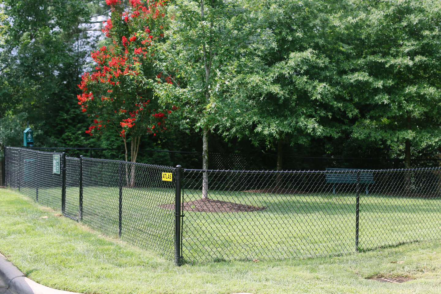 a chain link fence in a park with trees