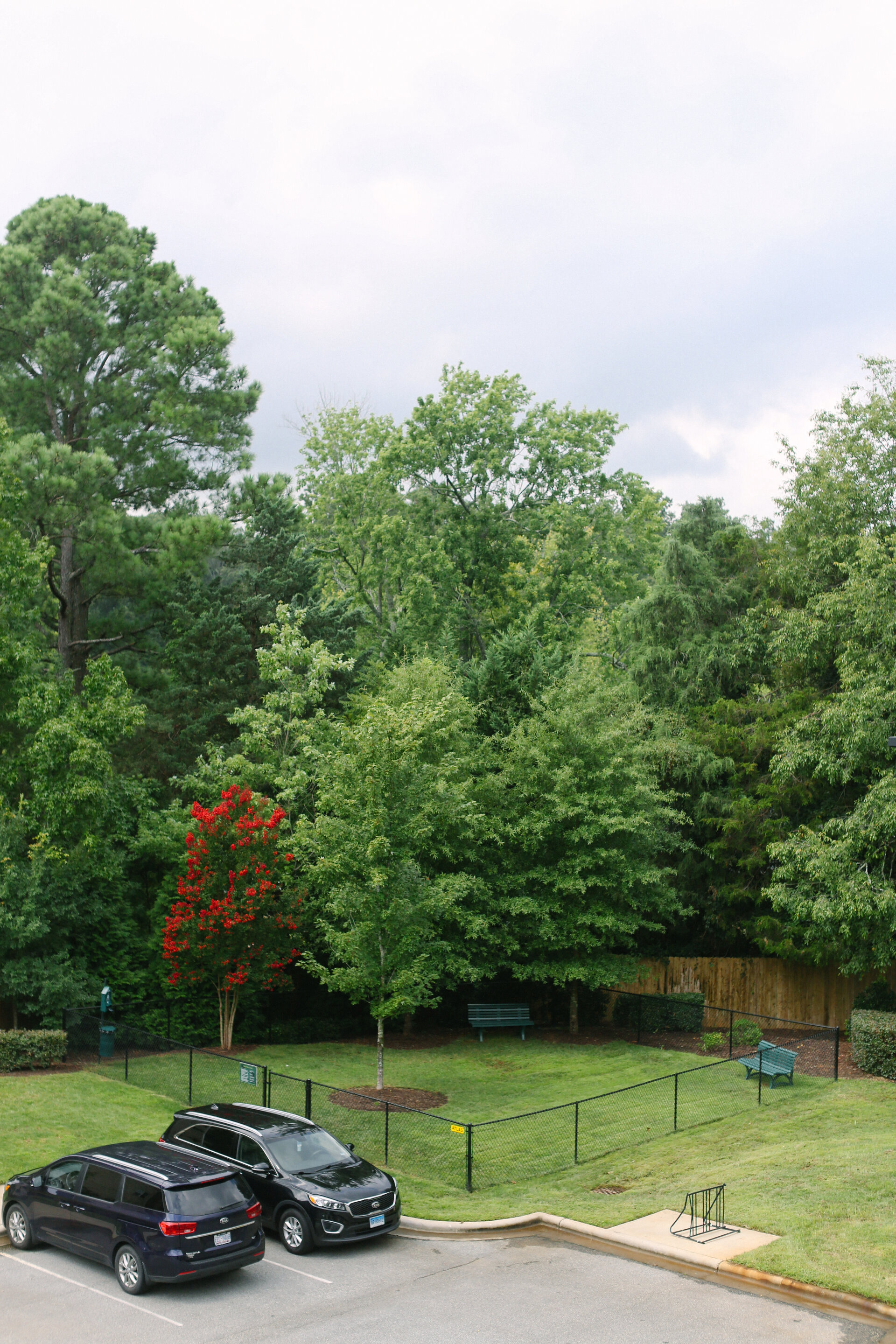 three cars parked in a parking lot next to a park