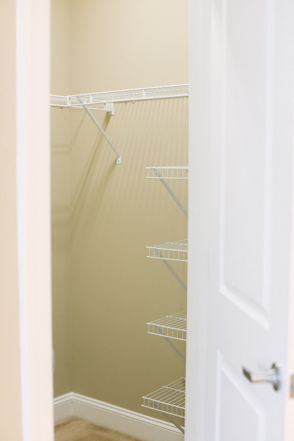 the closet in a small bathroom with a white door