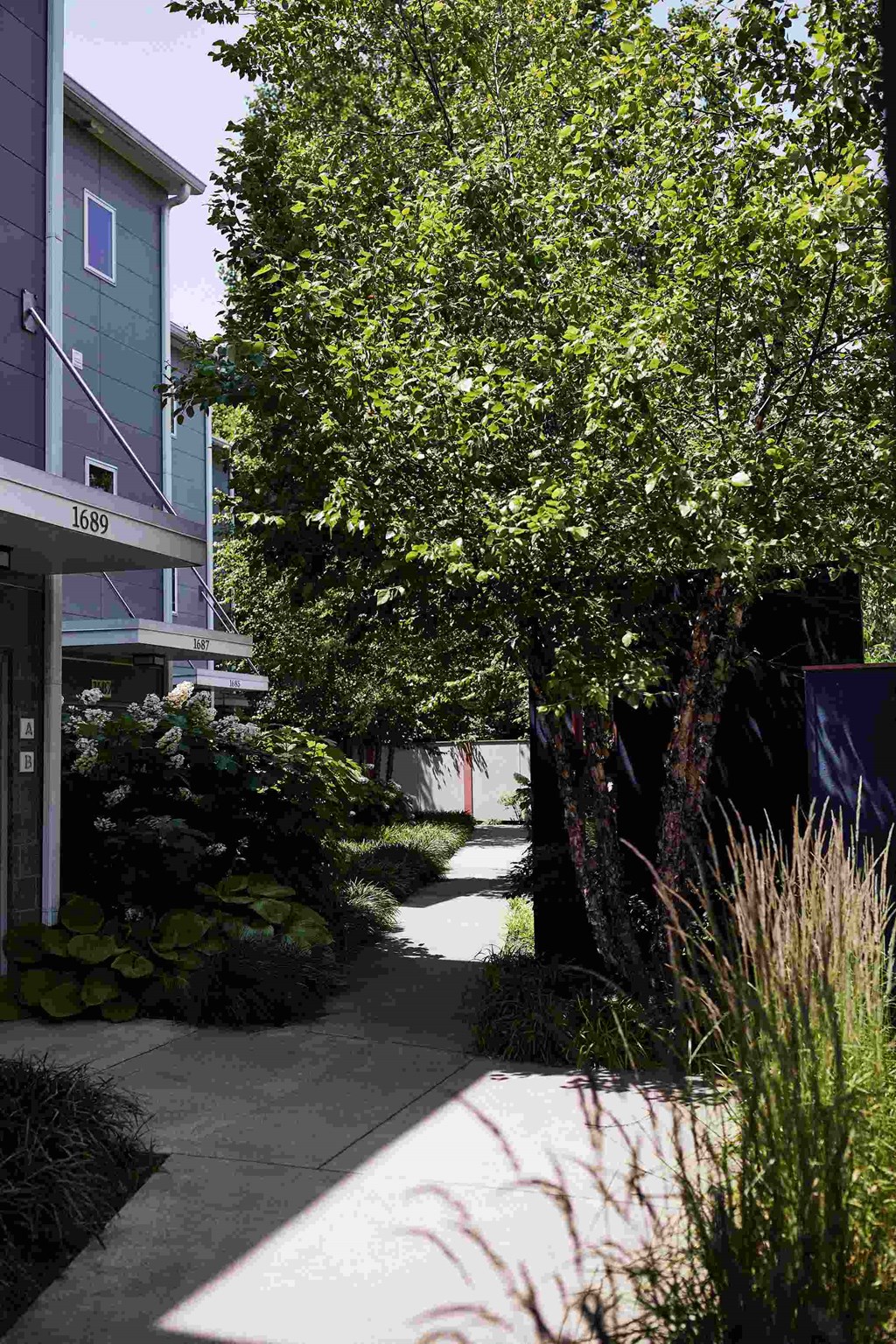 a tree lined sidewalk in front of a building