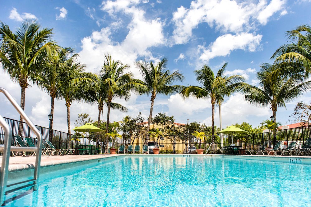 palms soaring palms overlooking our Hollywood, FL apartments pool