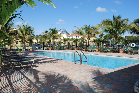 a swimming pool with palm trees in a resort