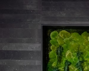 Platform Lobby with Living Wall