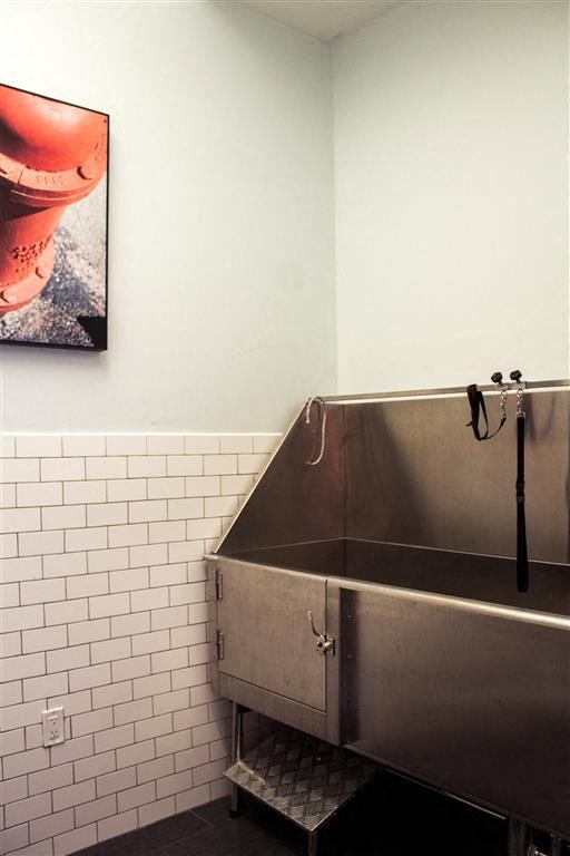 Pet_Wash at Holmes Beverly, Massachusetts, 01915