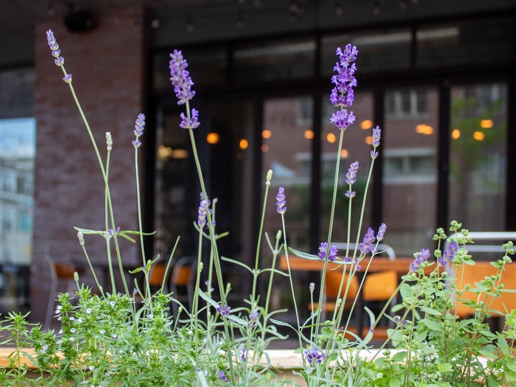 Plantation at Holmes Beverly, Massachusetts