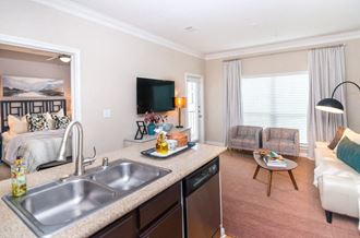 kitchen in humble tx apartments