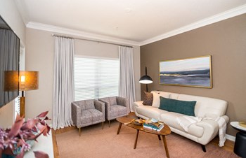livingroom in humble tx apartments