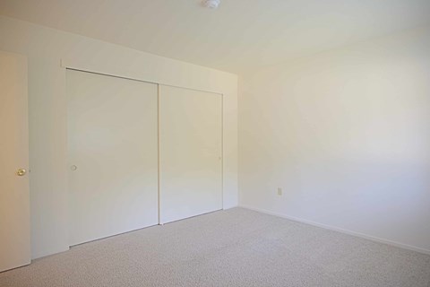 A room with a carpeted floor and two closet doors.