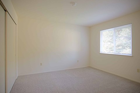 A room with a window and carpeted floor.