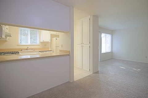 A kitchen with a sink and cabinets.