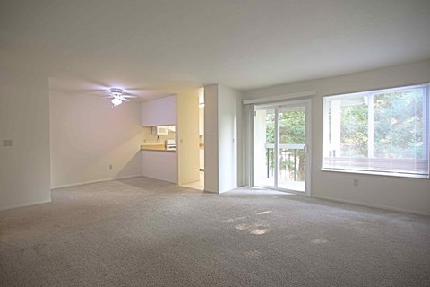 A large empty room with a carpeted floor and a window with blinds.