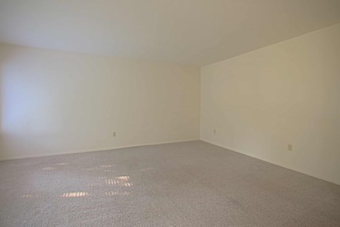 A room with a carpeted floor and white walls.