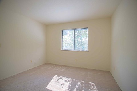 A room with a window and a rug on the floor.