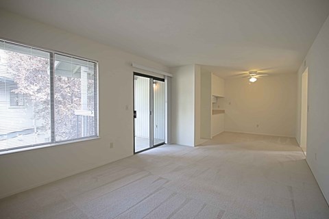 A large empty room with a window and sliding glass door.