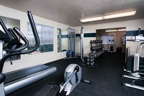 A gym with a treadmill, weights, and other exercise equipment.