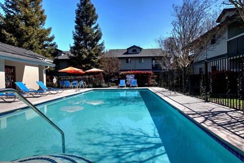 A swimming pool surrounded by a fence and trees.