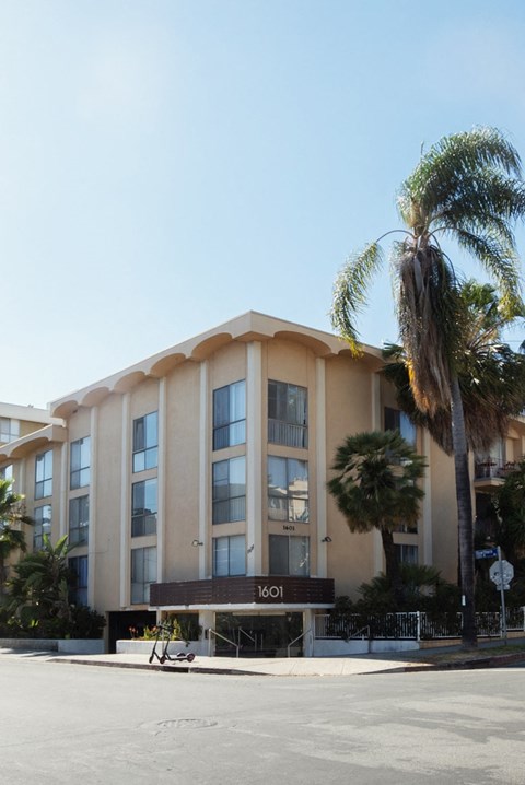 a building with a palm tree in front of it