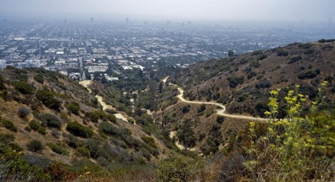 a winding road on a hill with a city in the background