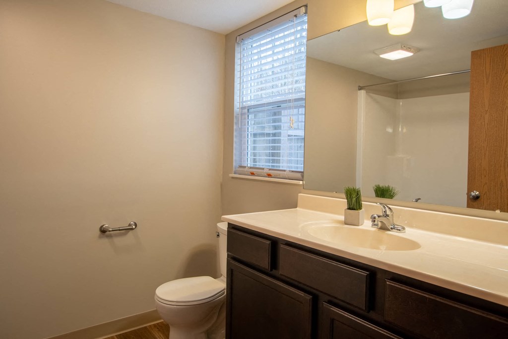 a bathroom with a sink toilet and a mirror