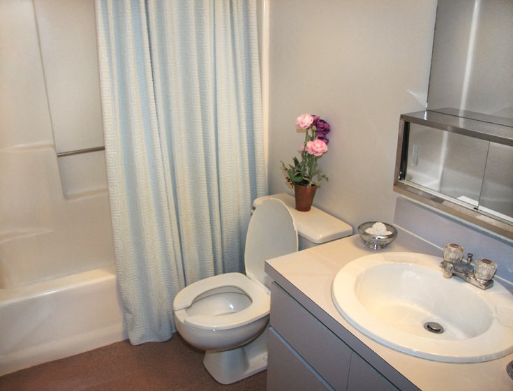 a bathroom with a toilet and a sink and a shower