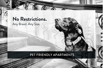 Arlington Place pet friendly Arlington Place pet friend - Photo Gallery 3