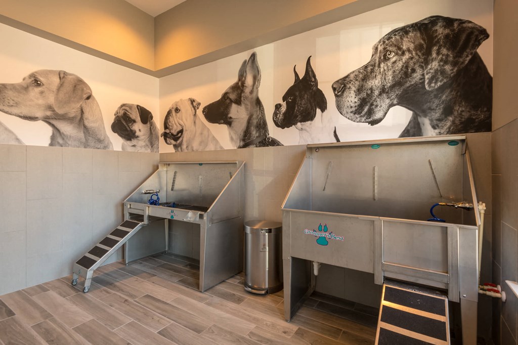 Pet Grooming Station at The Aster Apartments, Cary, North Carolina