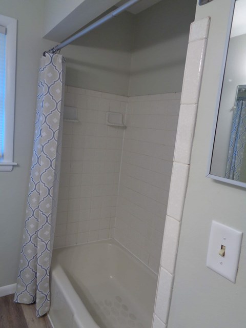a bathroom with a shower and a tub and a curtain