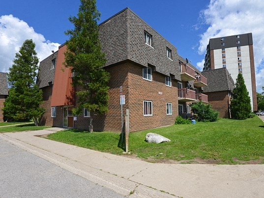 a dog laying on the grass in front of an apartment building