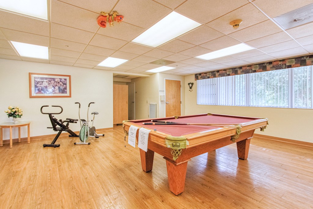 pool table and exercise bikes 