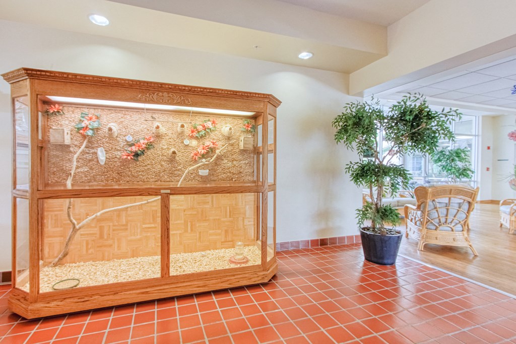 small aviary by lobby with birds and nests