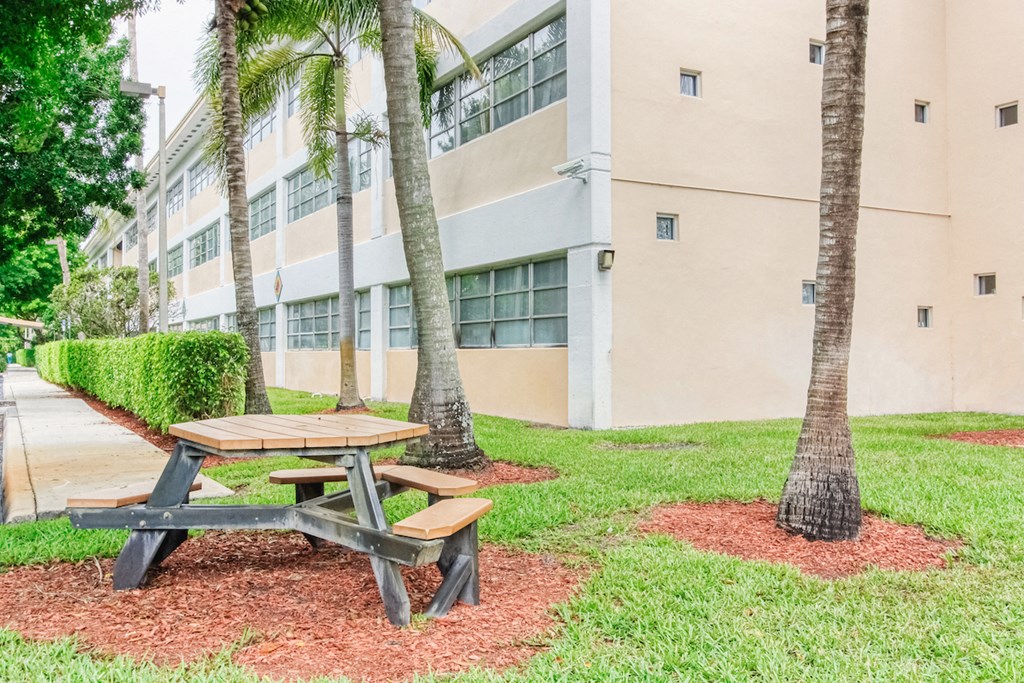 picnic area surrounded by palms outside of Villa Madonna