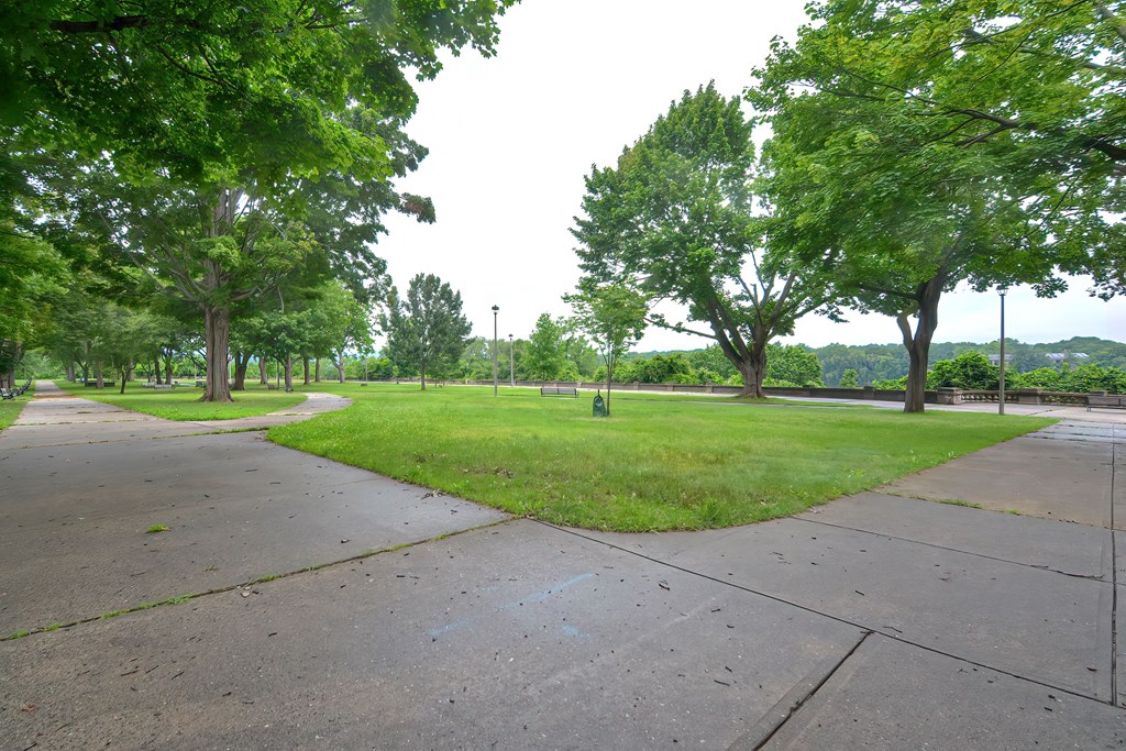 a park with grass and trees next to a sidewalk