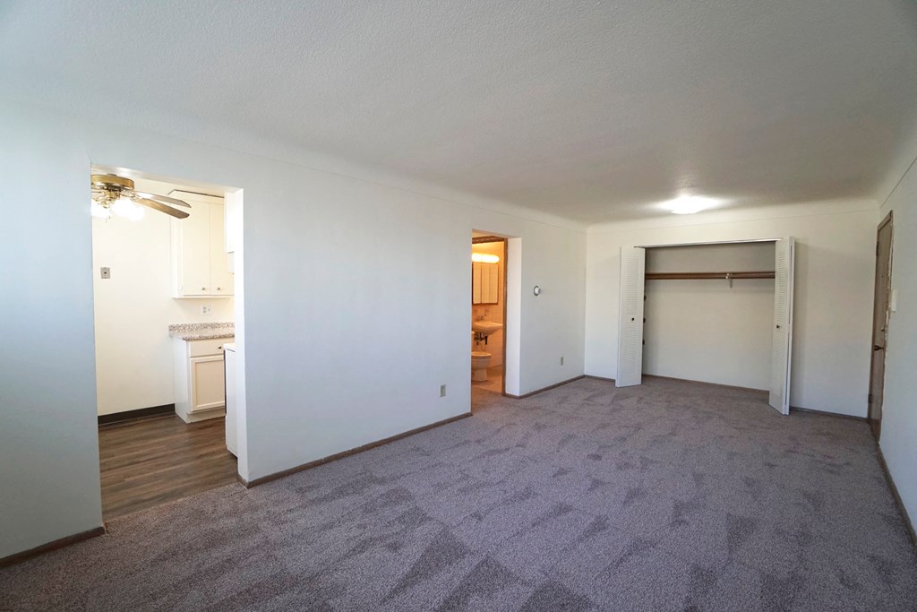 English Conway Living room, St. Paul, Minnesota