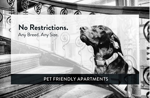 Lake Phalen Place pet friendly, St. Paul, Minnesota