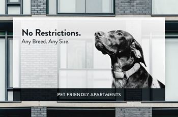 Adrian Street Flats Pet Friendly