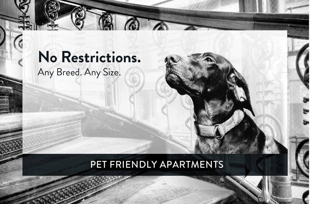 Adrian Place Pet Friendly, St. Paul, Minnesota