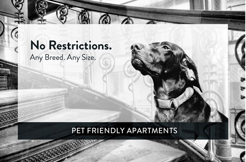 Charlton Estates pet friendly Charlton Estates pet friendly
