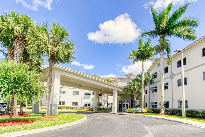 Entrance Covered drive entrance to Villa Regina and towering palm trees