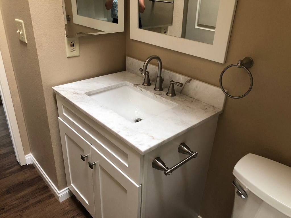 a bathroom with a sink and a mirror and a toilet