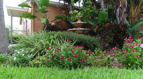 A garden with a fountain and red flowers.