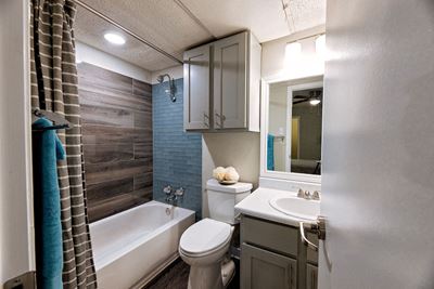 apartments on manchaca bathroom
