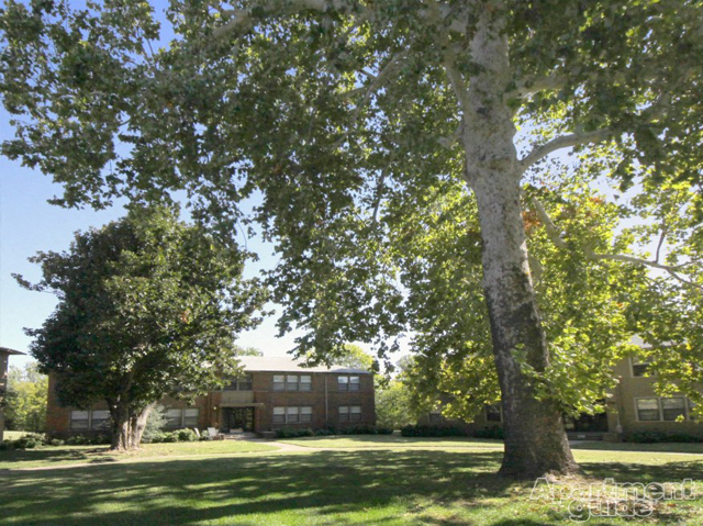 a large tree in a yard in front of a building