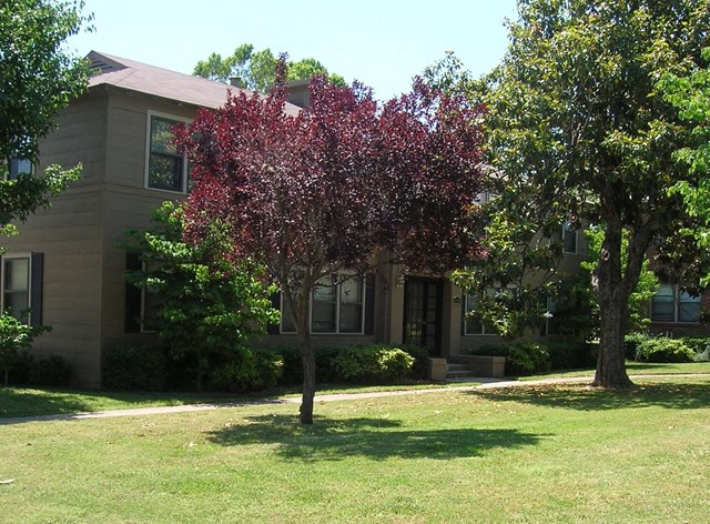 a house with a flowering tree in front of it