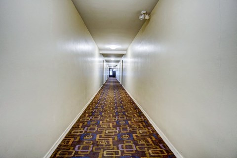 a long corridor with a carpet in a hotel room