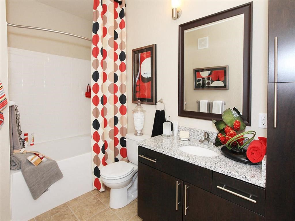 a bathroom with a shower toilet and sink and a mirror