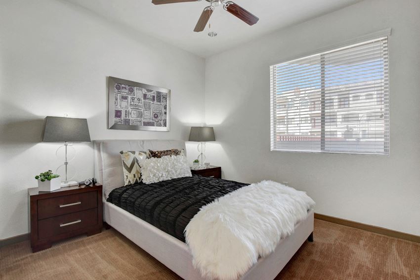 430 E. Cactus Ave 1-3 Beds Apartment for Rent - Photo Gallery